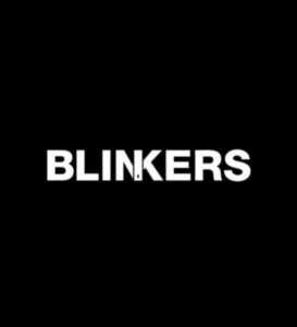 hittingblinkersofficial.com